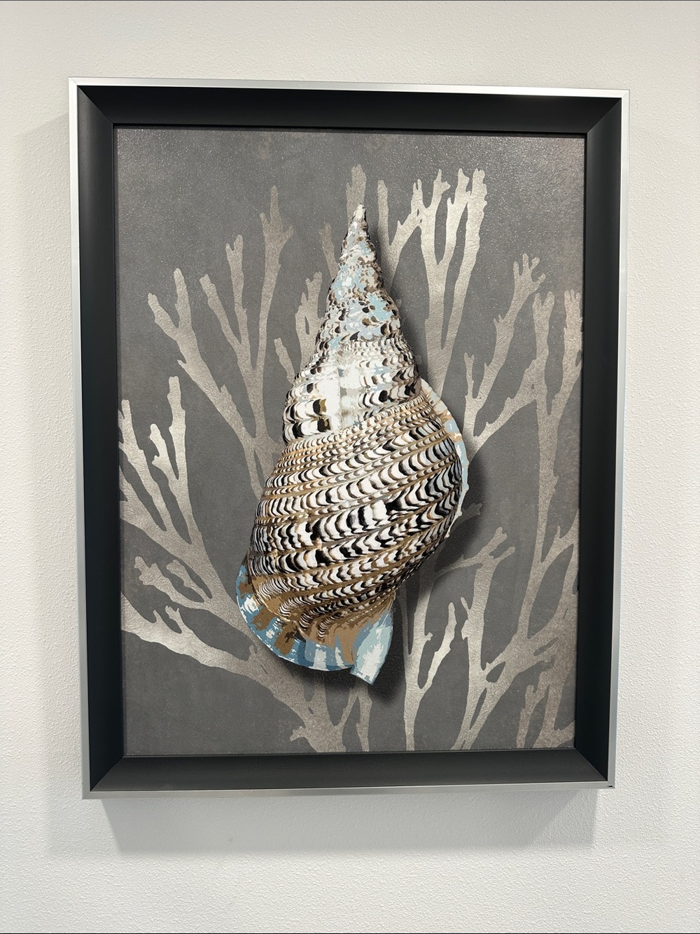 Framed Seashell Wall Art in Neutral Tones